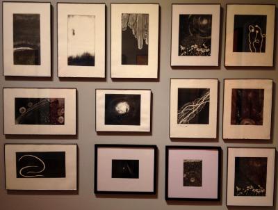 Intaglio/Mono Prints